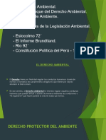 Primara Parte Legislación Ambiental 2022-1