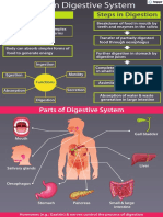 Mechanism of Digestion