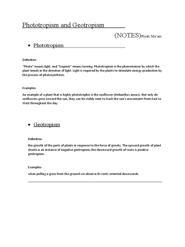 Phototropism and Geotropism | PDF | Science & Mathematics
