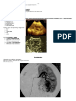 4 - Var IV - Imagistica in Nefrologie