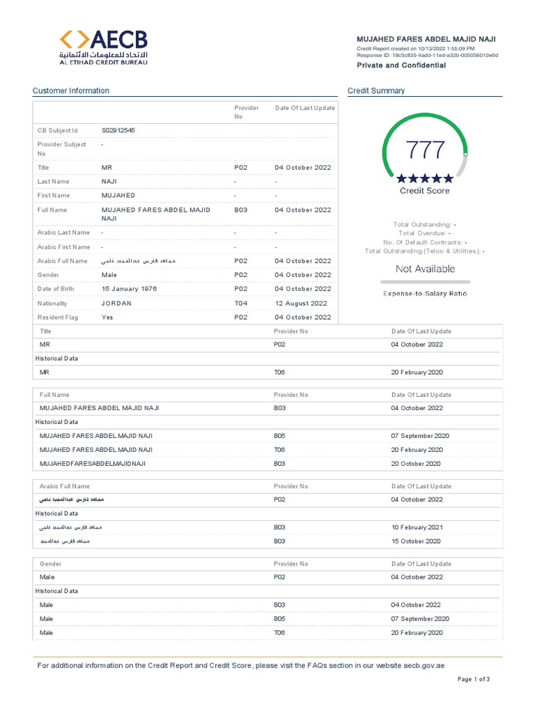 AECB Credit Report for Mujahid Naji | PDF