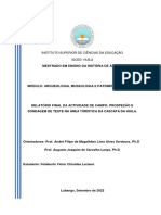 Felisberto - Luciano - Relatório - Final - Do - Módulo - Arqueologia - Museologia - e - Património - Africano - 2022