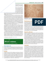 Mehu525 U3 T15 Micosis Cutaneas