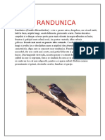 randunica