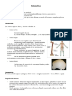 Fisio Sistema Oseo