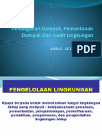 Penanganan Dampak, Pemantauan Dampak Dan Audit Lingkungan