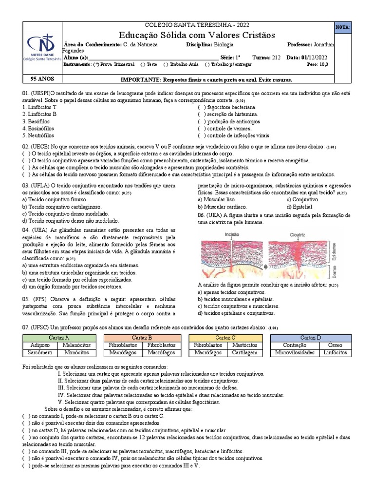 Questões sobre Tecidos Conjuntivos | PDF | Epitélio | Tecido conjuntivo