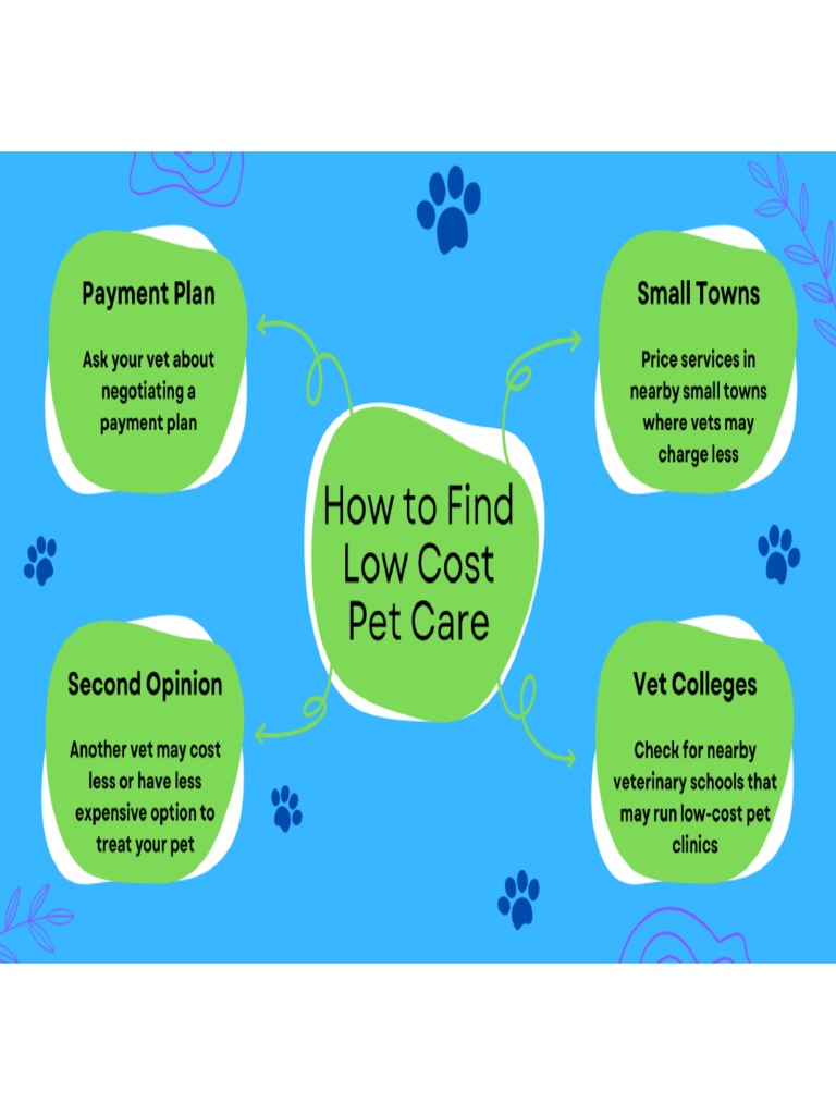 Low Cost Pet Care Options PDF