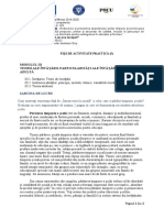 M3 - Fisa de Activitate Practica