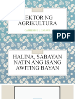 Sektor NG Agrikultura