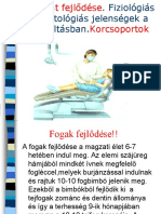 Fogazat Fejlődése - 1587556418