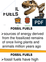 3 Fossil Fuel