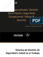 Gestión Seguridad Salud Ocupacional