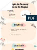 Embriologia de La Cara y Formacion de La Lengua