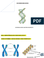 acidos nucleicos2022