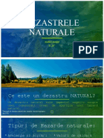 Dezastrele Naturale