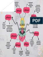 Regimen Economico