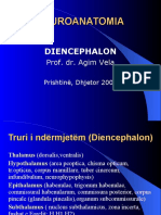 Diencephalon