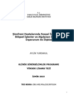 Şizofreni Hastalarında Sosyal İşlevselliğin Bilişsel İşlevler Ve Algılanan Duygusal Dışavurum Ile İlişkisi