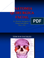1 Anatomia Quirurgica Facial