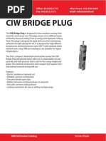 Ciw Bridge Plug Complete