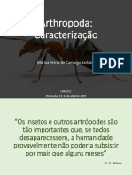 Artrópodes: Características e Diversidade