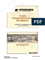 Fajas PDF 1