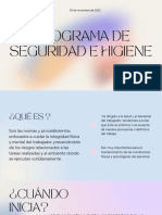 Programa de Seguridad e Higiene