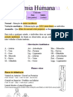 Anatomia Humana conceitos básicos