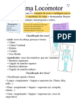 Sistema Locomotor