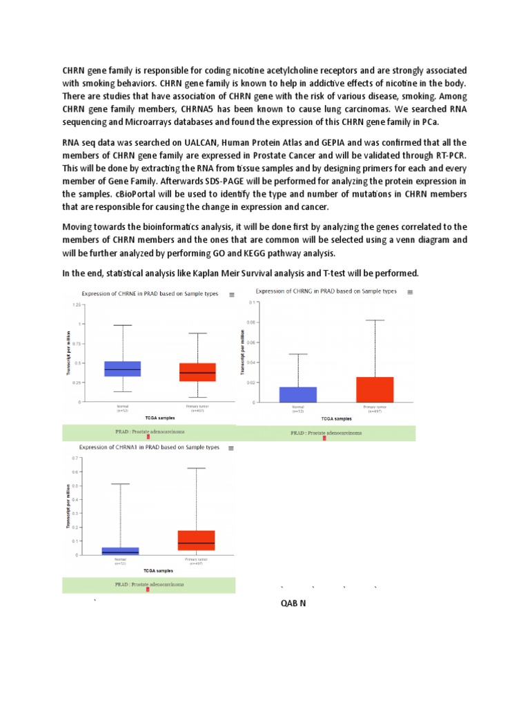 CHRN Gene Story | PDF