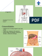 Hígado y Vías Biliares