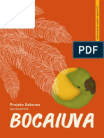 Boletim-5-Bocaiuva