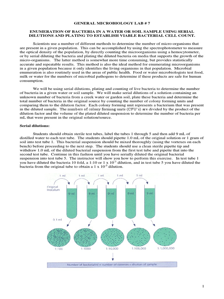 Lab 7 Serial Dilution PDF Colony Forming Unit Bacteria