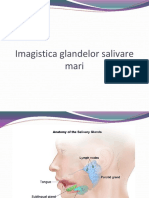 14.Imagistica Glandelor Salivare