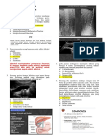 MCQ Modul 6.2 Coccygeal 18