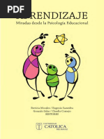 Aprendizaje Miradas Desde La Psicologia