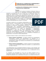 Estimacion_de_la_distribucion_de_Permeabilidades_y_Capacidad_Productiva_del_Reservorio