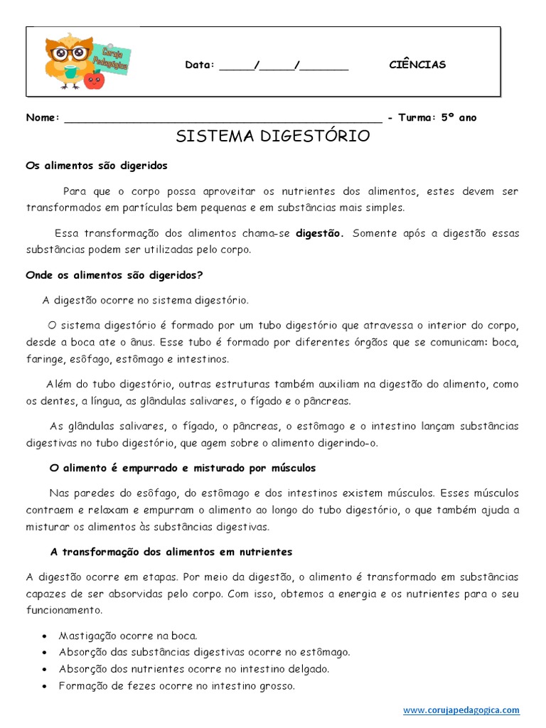 Atividades sobre o Sistema Digestório 5º Ano | PDF | Sistema digestivo ...