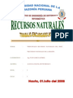 Principales Recursos Naturales Del Peru y La Region