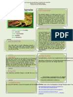 Afiche Animal Nativo PDF, Matias Torres Olivares