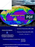 Clase 11 Producción Primaria