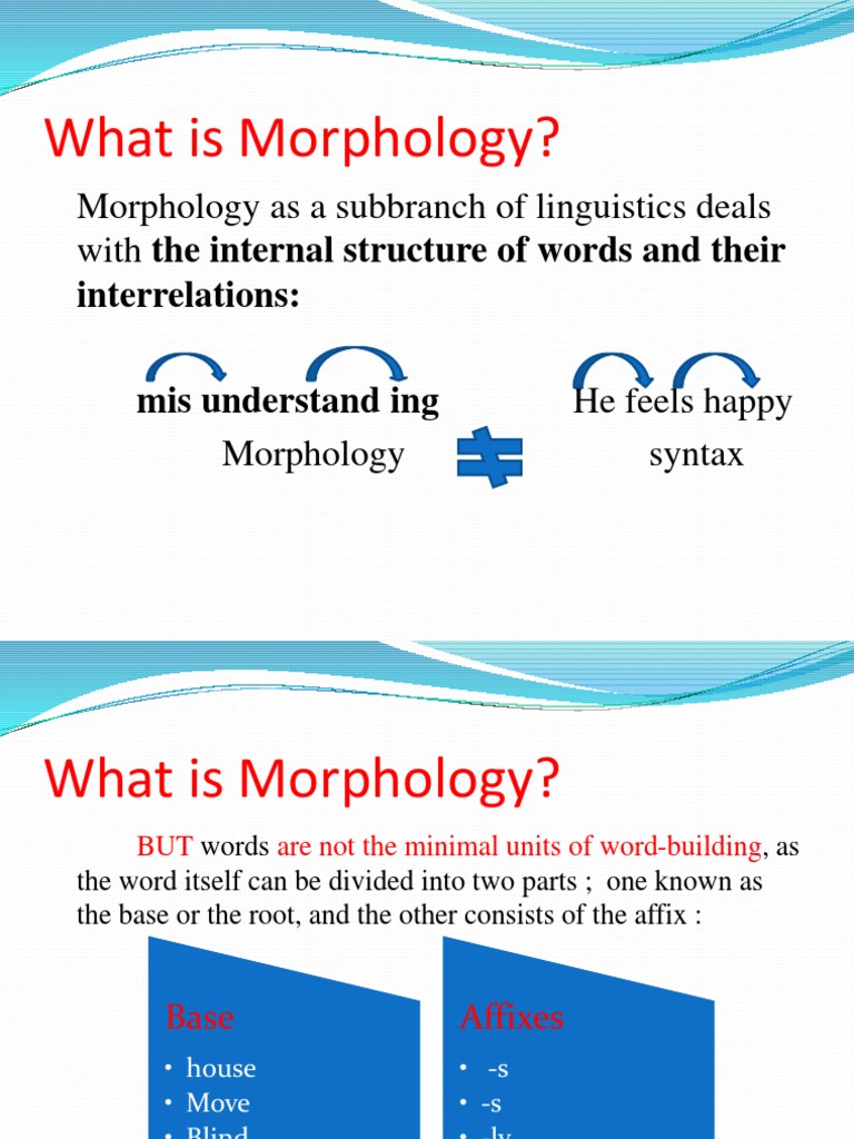 what-is-morphology-pdf-morphology-linguistics-word