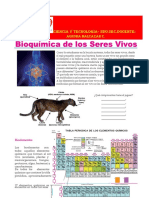 Teoria de Composiciòn de Los Seres Vivos - 2do Sec.