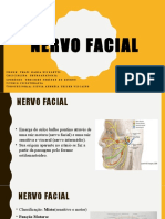 Trabalho de Neuroanatomia