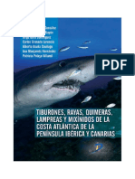 Tiburones, Rayas, Quimeras, Lampreas y Mixínidos de La Costa Atlántica de La Península Ibérica y Canarias (Castor Guisande González)