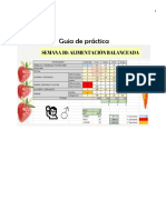 Guiadepractica 10