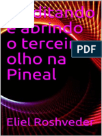 Meditando e Abrindo o Terceiro Olho Na Pineal - Eliel Tosheveder