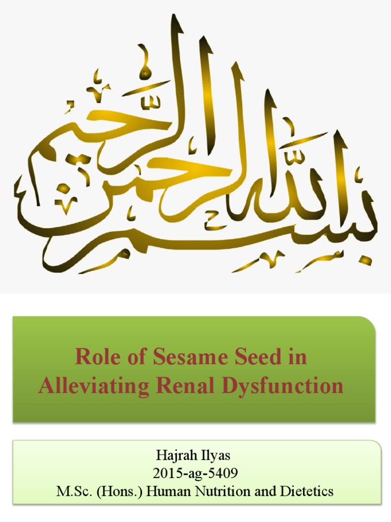 Role of Sesame Seeds in Renal Dysfunctioing Download Free PDF Chronic Kidney Disease