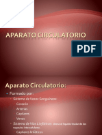 Aparato Circulatorio